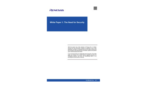 White Paper 1: The Need for Security